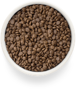 Grandorf Fresh Cat Potato корм сухой беззерновой для стерилизованных кошек индейка,батат