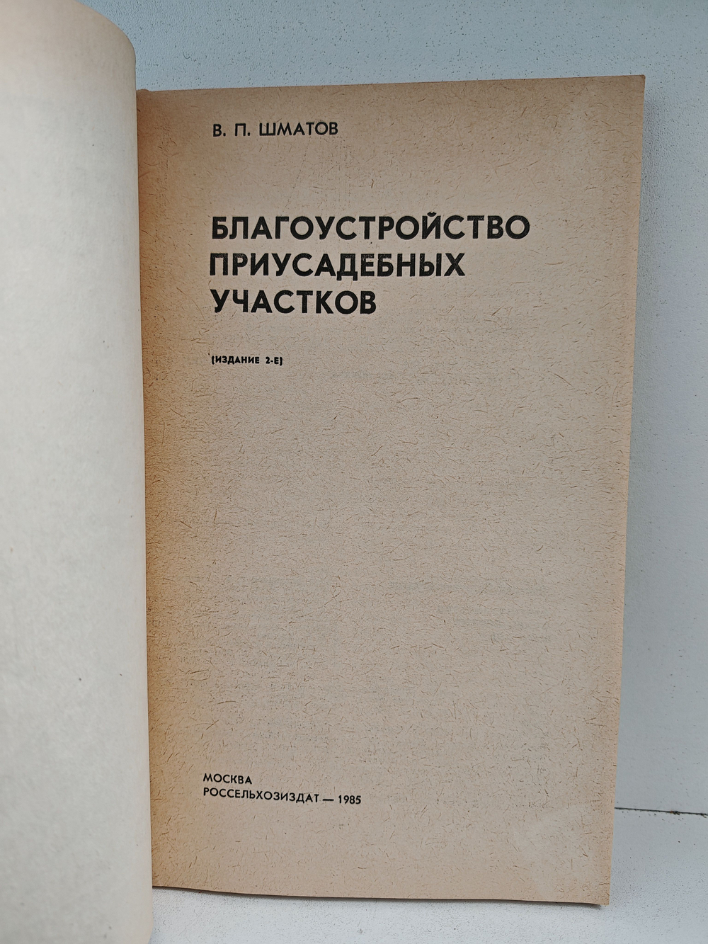 Благоустройство приусадебных участков