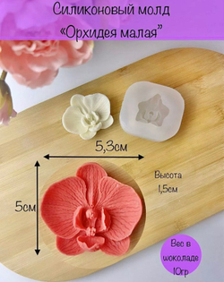 Цветок Орхидея-мини