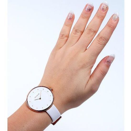 Женские часы Skagen SKW2291