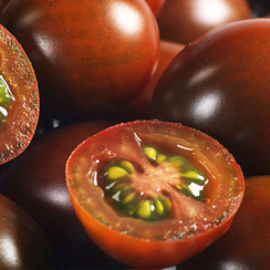 КМ 5512 F1 семена томата индетерминантного (Syngenta / Сингента)