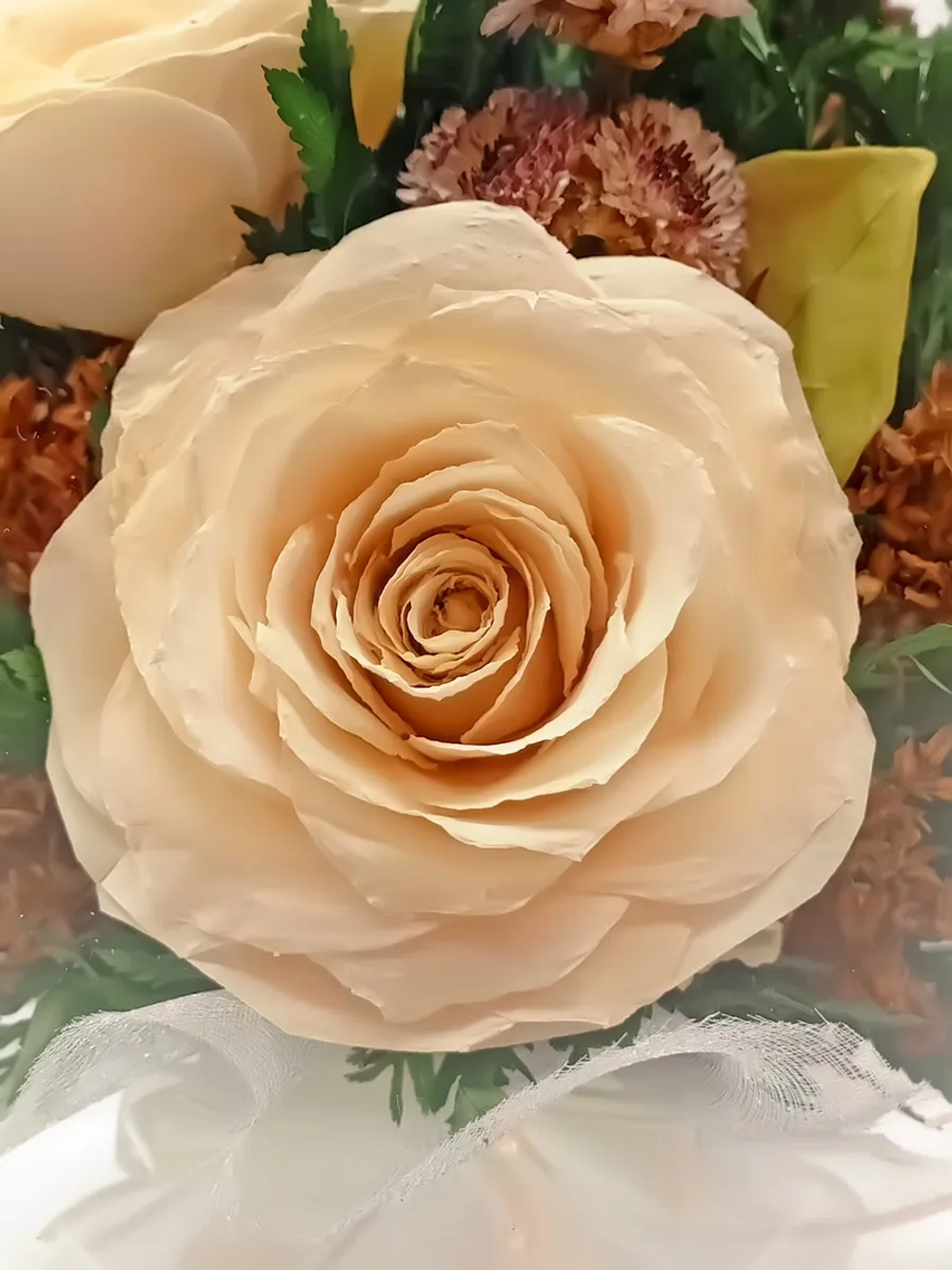 натуральные розы в стекле, вакуум