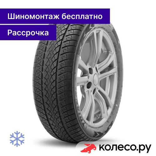 WinterX TW401 225/60 R17 103V