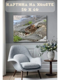 Картина на стену 40 X 50 Мышь