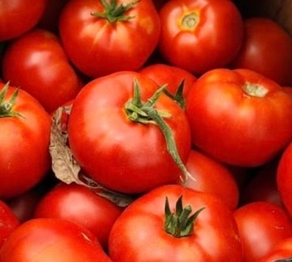 Томат Генезис F1 / Genesis F1 5шт. (чп)