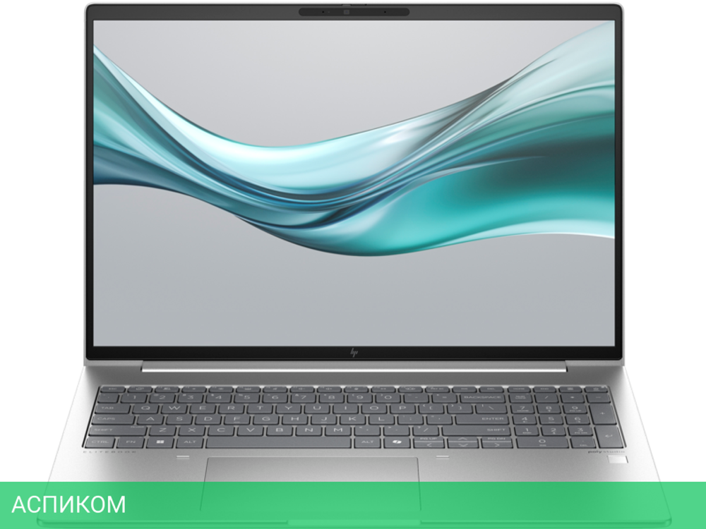 Ноутбук HP EliteBook 665 G11 Silver (8Z717AV)