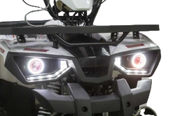 Квадроцикл AVANTIS Hunter 7 New Lux