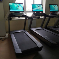 Профессиональная беговая дорожка SHUA SH-T9100T