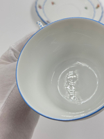 Чайная пара Richard Ginori