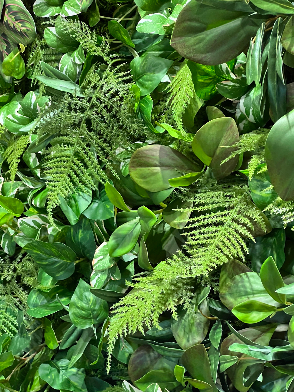 Вертикальное озеленение искусственными растениями автосалона «100 машин»