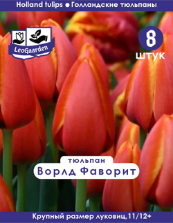 Тюльпан Луковица, Ворлд Фаворит 8 шт, разбор 11/12