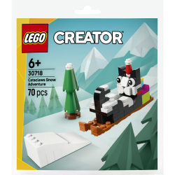 Конструктор LEGO Creator 30718 Снежное приключение Кэтаклоса арт. 30718 70 дет — фото 1
