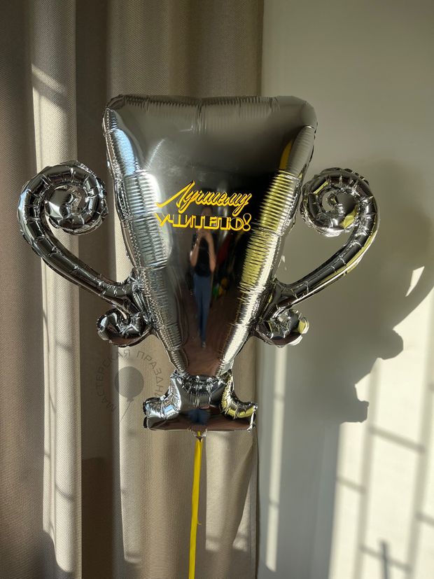 Кубок "Лучшему учителю" №8568