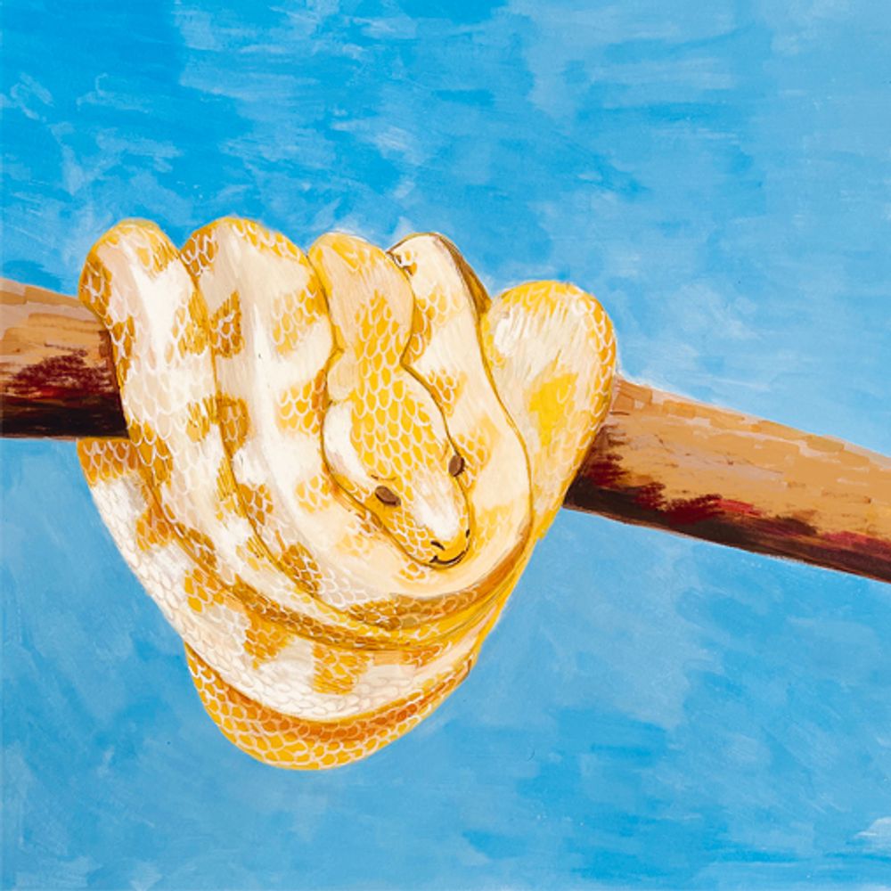 Как уложить питона спать