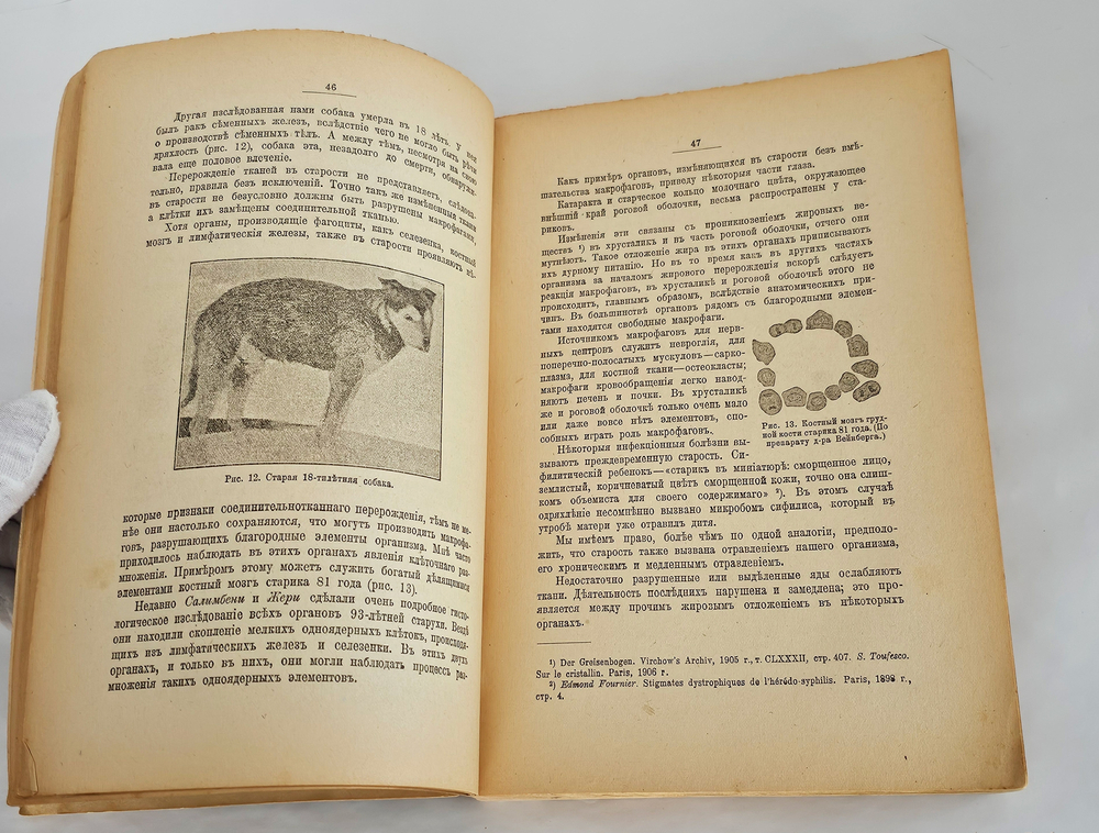 "Этюды оптимизма : С портр. автора и 27 рис". 1917г.