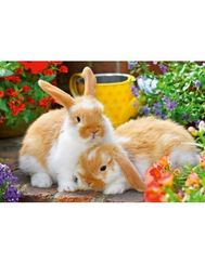 Puzzle Kleine Kuschelzeit 2x12 pcs