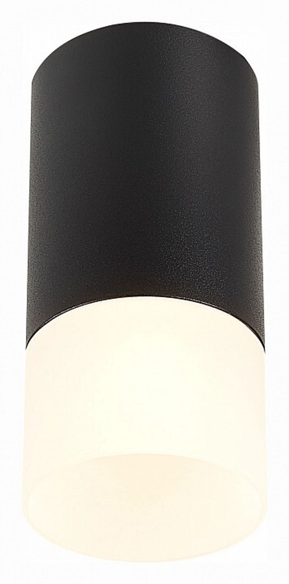 Накладной светильник ST-Luce ST100 ST100.412.01