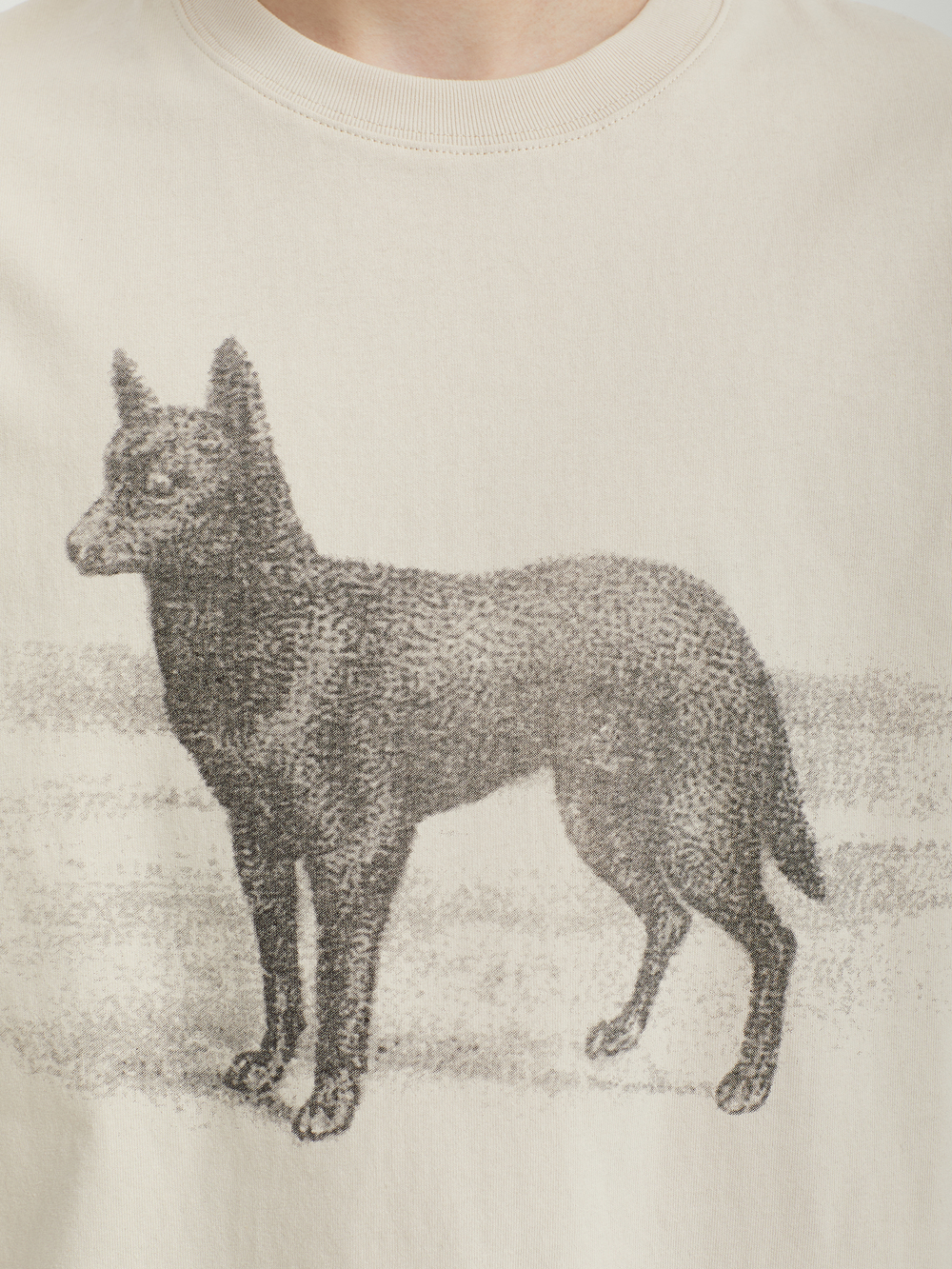 Мужская Футболка Kelpie