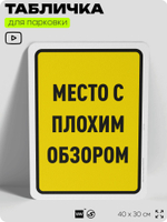 Табличка для парковки "Место с плохим обзором", для дома, офиса, организаций, 40х30 см, Silver Plane x Айдентика Технолоджи