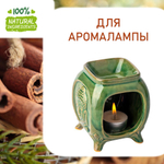 Розмарин и корица, отдушка для свечей и мыла