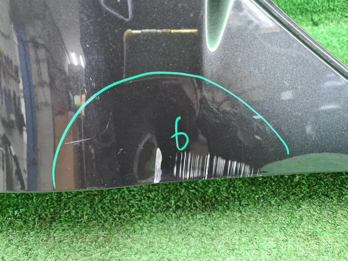 Крыло переднее правое BMW X3 G01 X4 G02 (17-24)