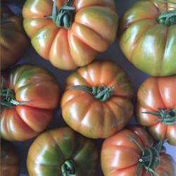 Томат Ред Кой F1 3шт ВитаГрин ЭКСТРА