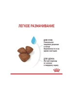 ROYAL CANIN Mini Starter Mother & Babydog (Роял Канин Мини Стартер Мазер Бэбидог) корм сухой для собак 20 кг.