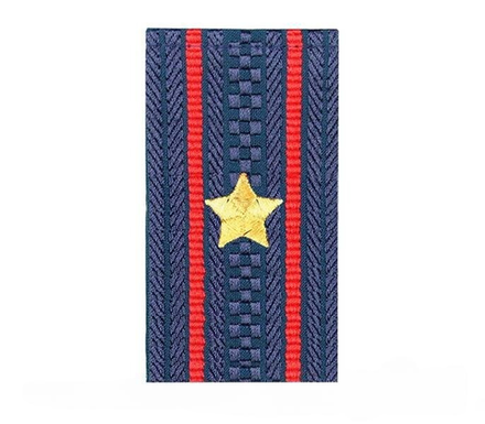 Фальшпогоны Полиция нового образца темно-синие вышит. майор