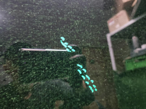 Панорамная крыша задняя Changan CS55PLUS (21-нв)