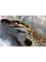 Воблер Минноу MACHNO 90mm, цвет 018 (карась), 2 штуки