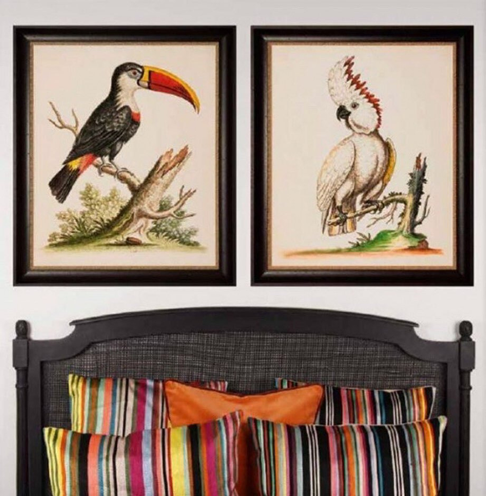 Постер Какаду 72х86 см