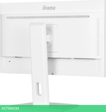Монитор Iiyama ProLite XUB2497HSN-W1