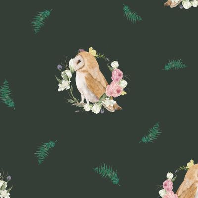 Сова зеленый фон