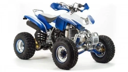 Квадроцикл Motoland 250 DAKAR