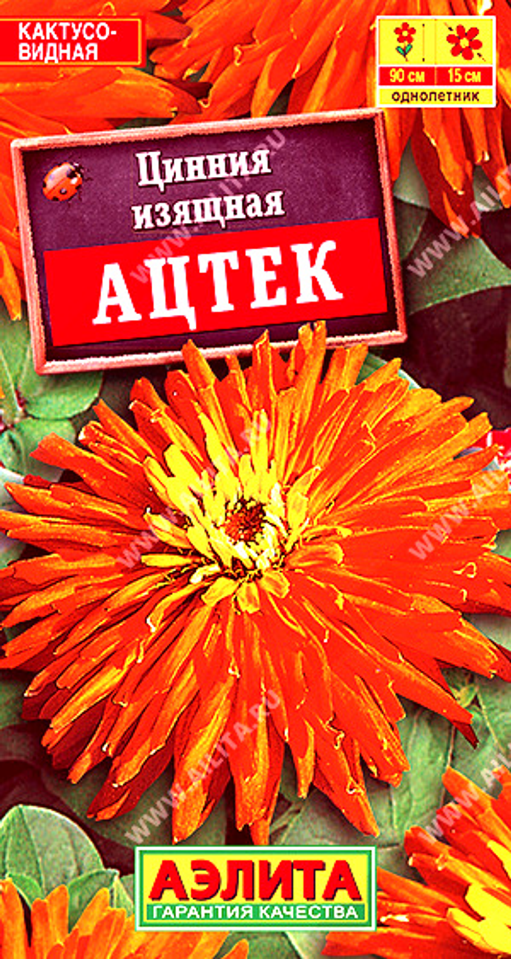 Цинния Ацтек
