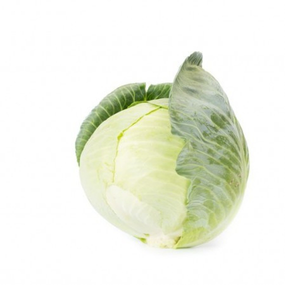 Корсума F1 семена капусты белокочанной (Rijk Zwaan / Райк Цваан) продукт – фото 3
