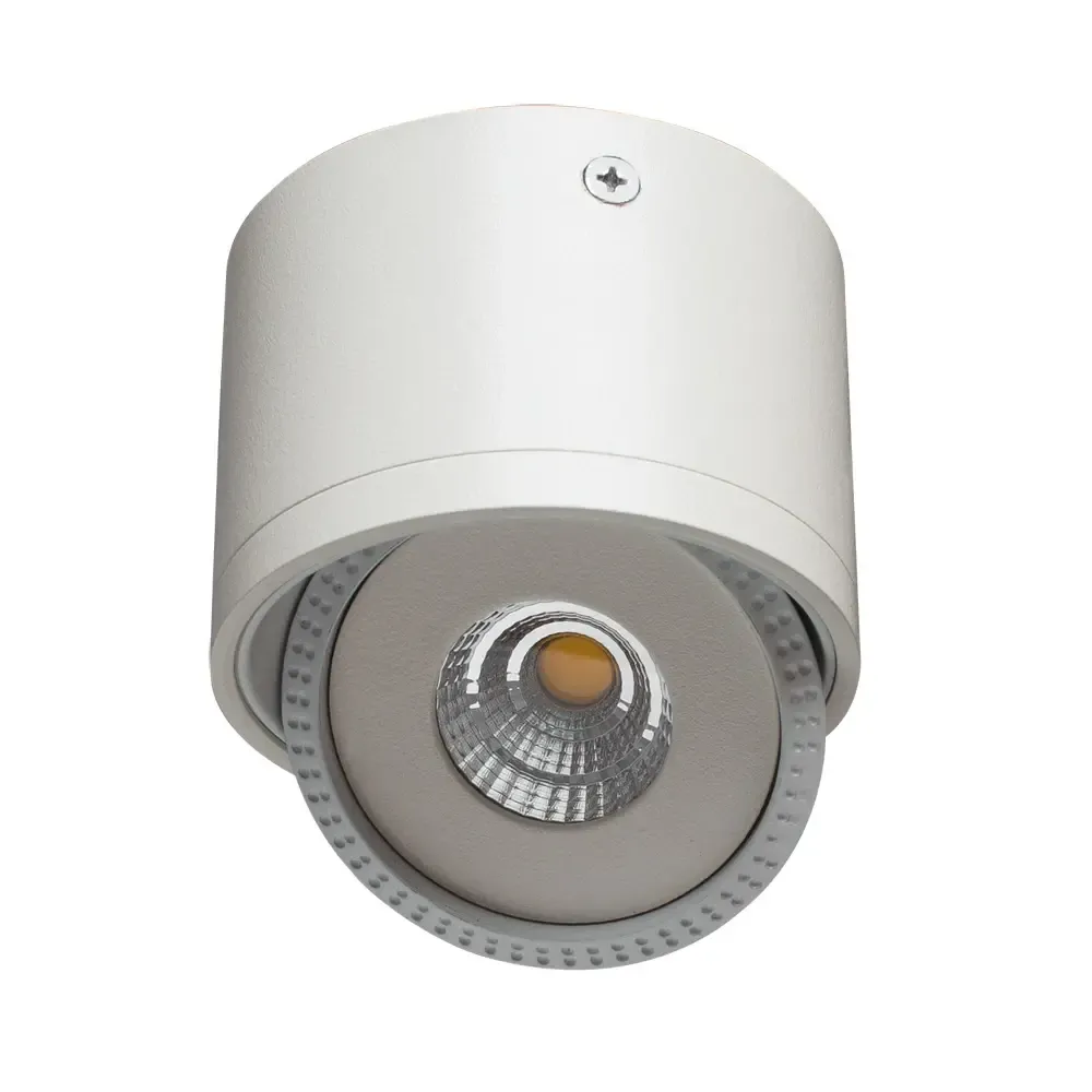 Точечный накладной светильник Arte Lamp