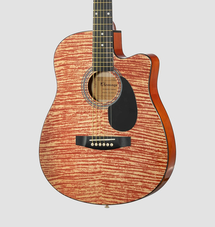 Акустическая гитара Homage LF-3800CT-N