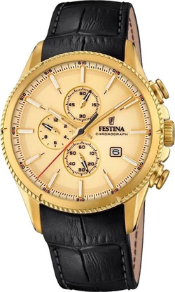 Часы Festina F20419/1
