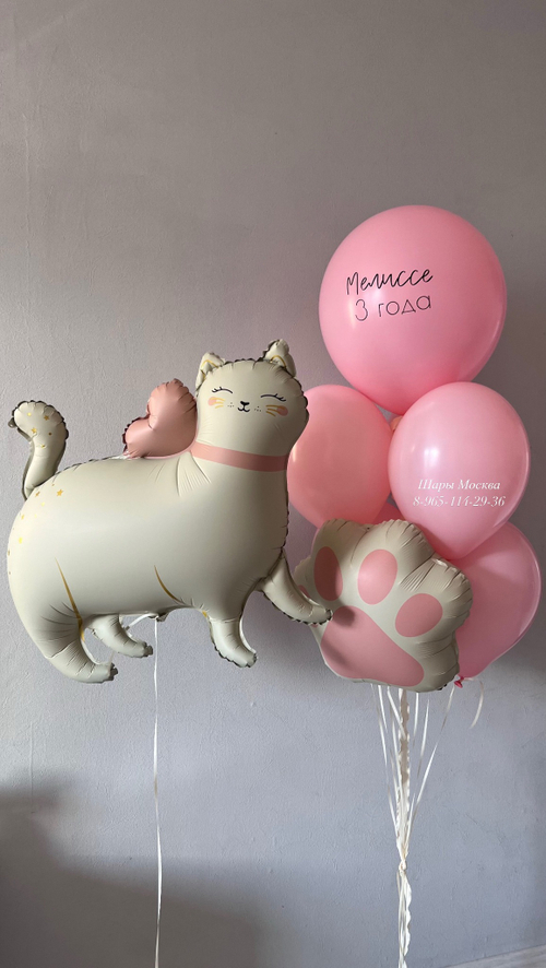 Кошка с воздушными шарами