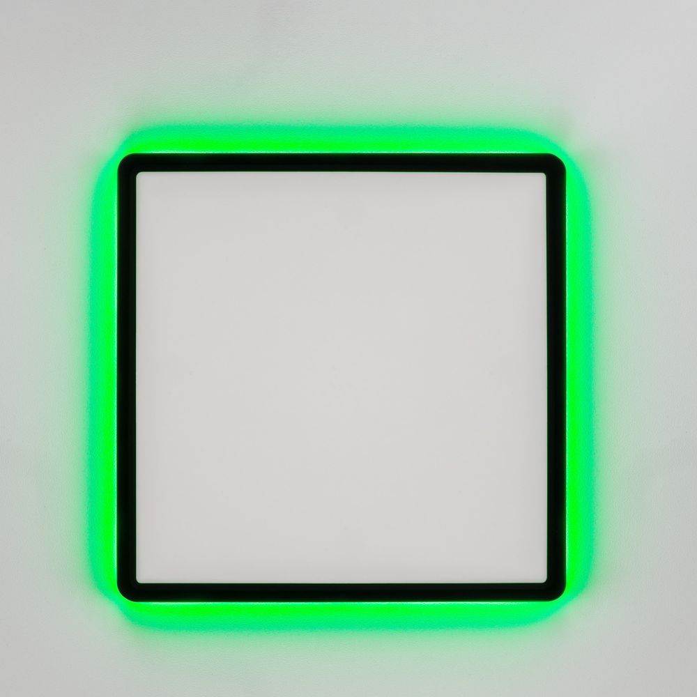 Citilux NORMA CL749K301 RGB Светильник с пультом Чёрный