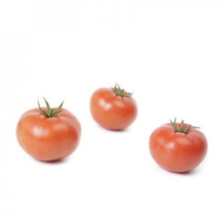 Пауланка F1 семена томата индетерминантного (Rijk Zwaan / Райк Цваан)