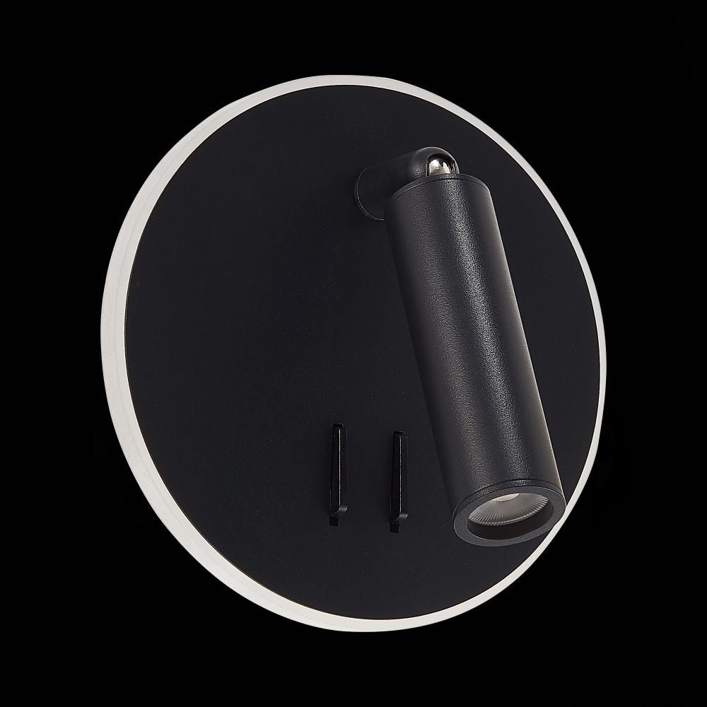 Светильник настенный ST Luce SL1586.413.01