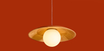 Подвесной светильник Freya FR5589PL-01T