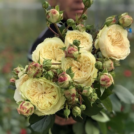 Викториан Веддинг (Victorian Wedding)