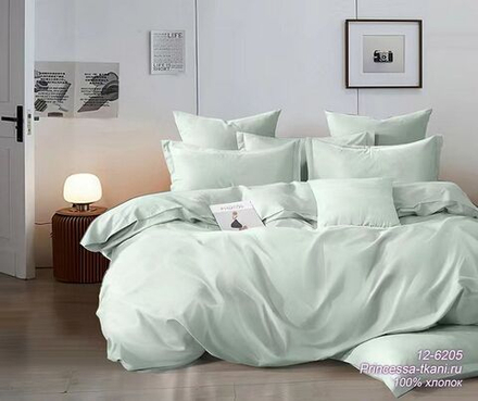 Комплект постельного белья 2-сп ПОПЛИН "Мята 12-6205 ЕМ" (нав. 70х70 или 50х70)
