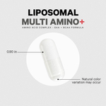 Codeage, Liposomal Multi Amino+, комплекс липосомальных аминокислот, серия Sport, 240 растительных капсул