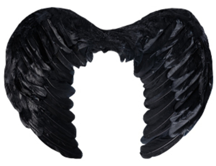 Крылья ангела, Черный, 40*55 см, 1 шт.