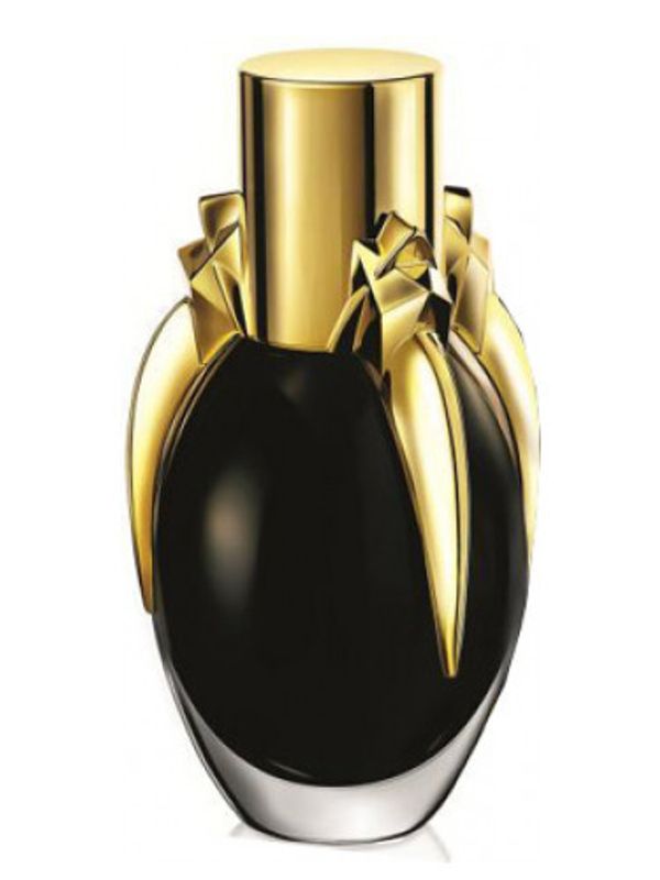 Lady Gaga Fame